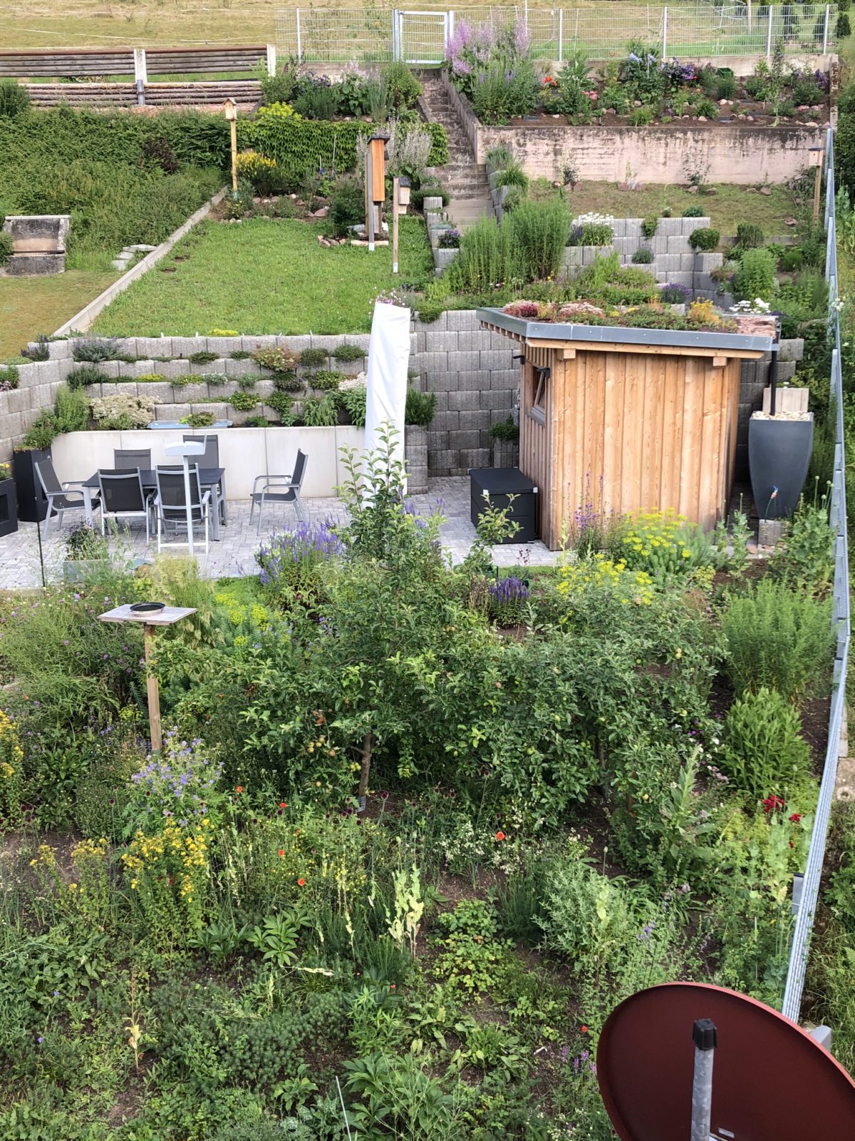 Gartenumbau zum Insektenparadies
