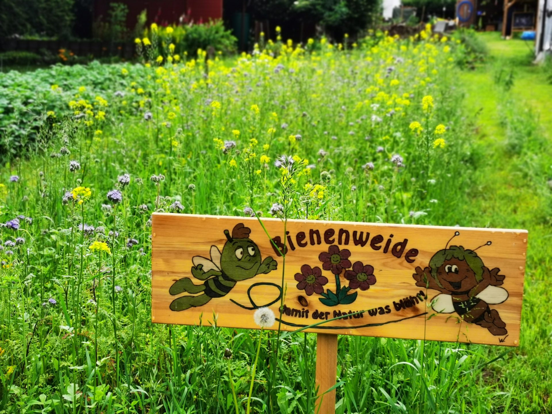 Damit der Natur was Blüht