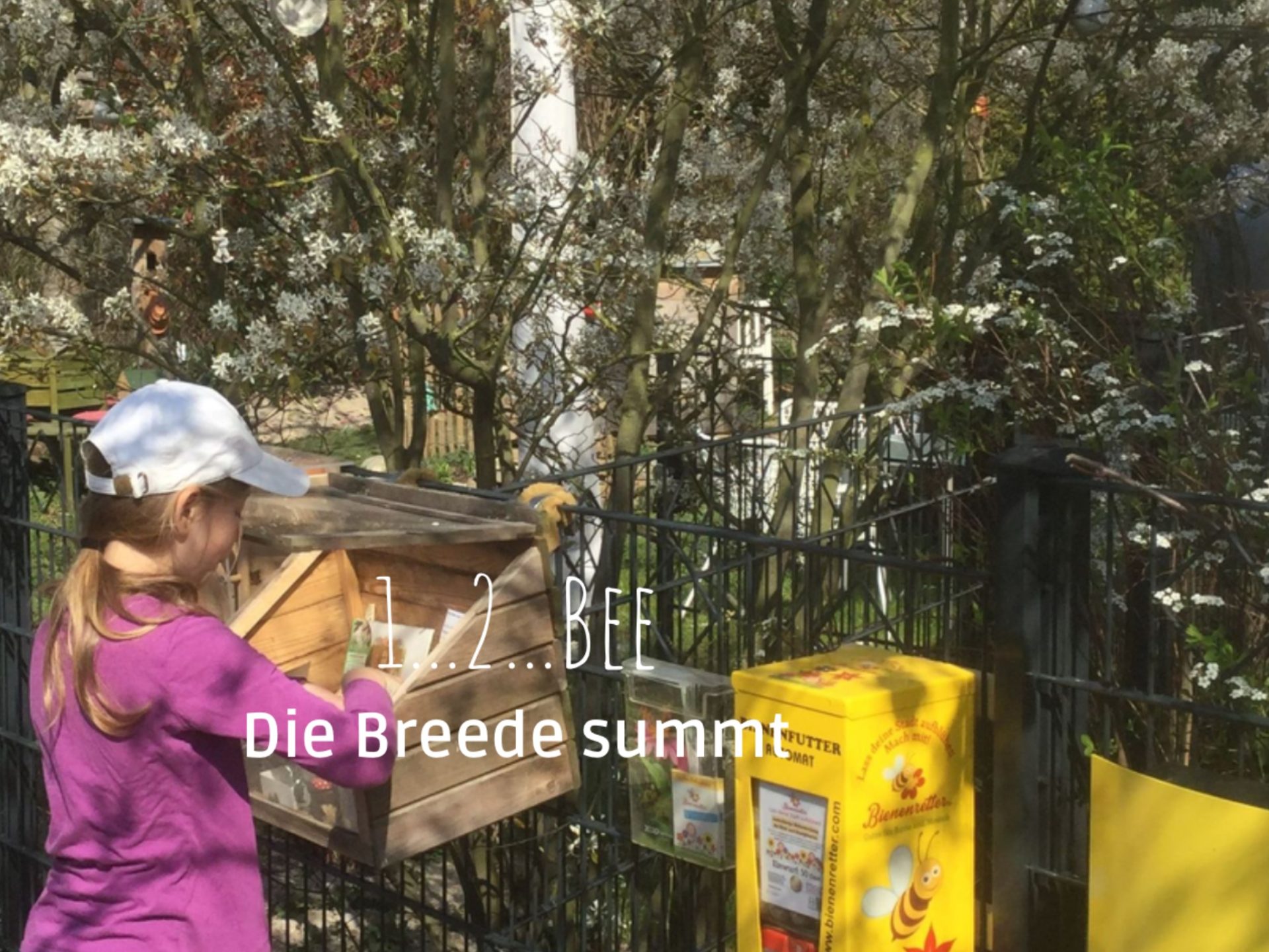 Die Breede summt – Bienenpfad und Öffentlichkeitsarbeit