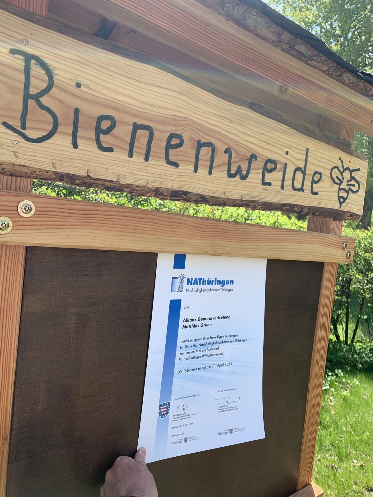 Bienenweide Großbreitenbach