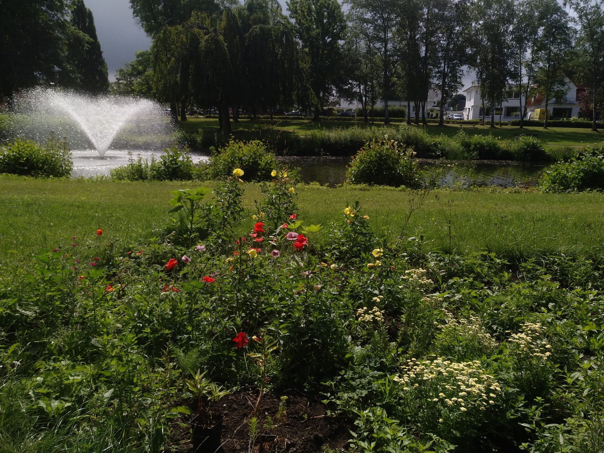 Ein Blütenbeet im Kurpark!