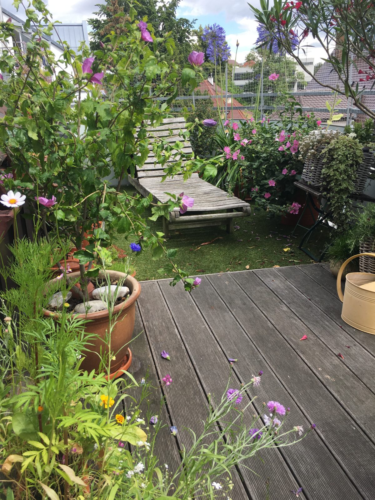 Kleingarten auf dem Balkon