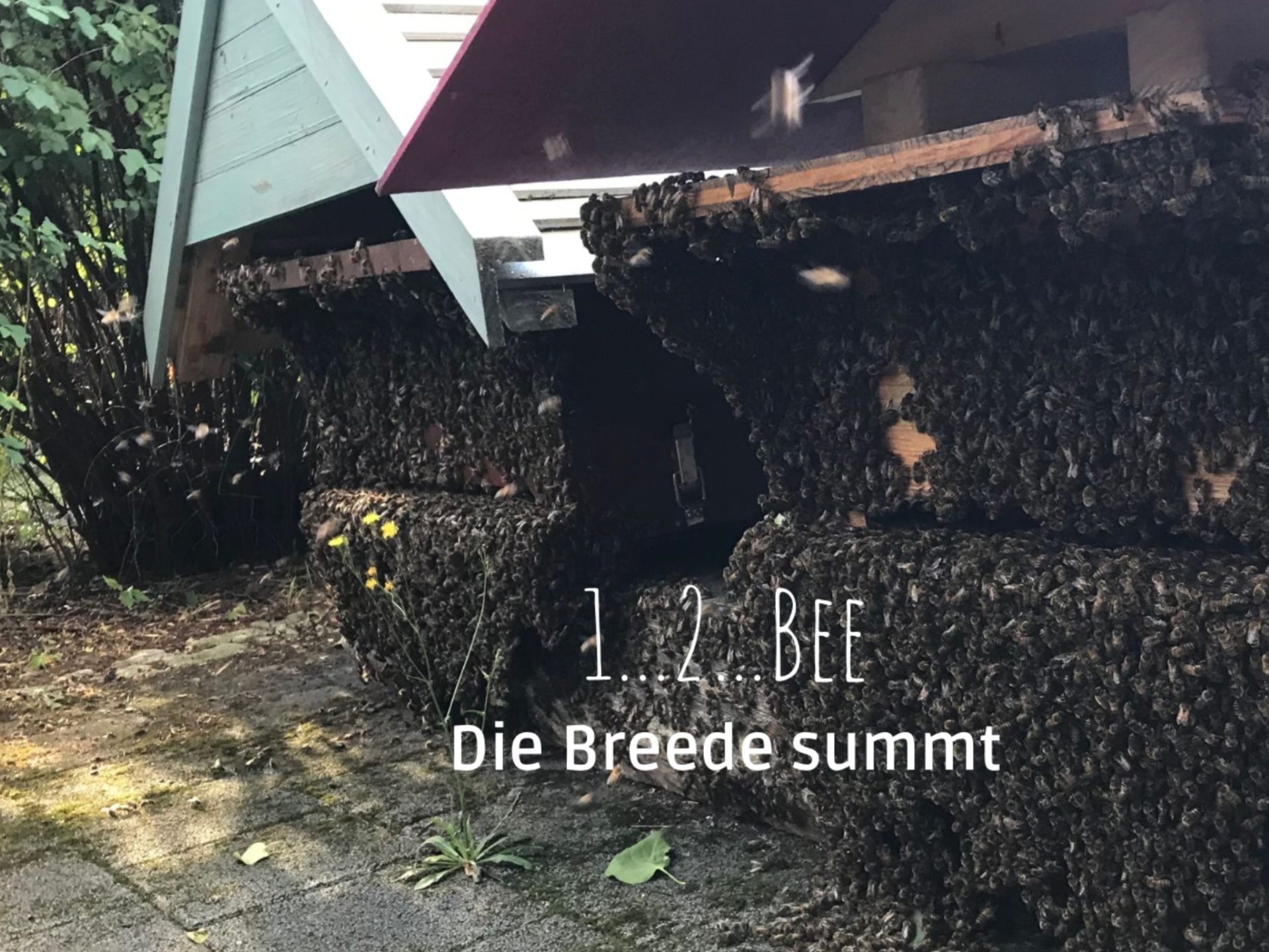 Die Breede summt – Bienendorf und Ertragszone