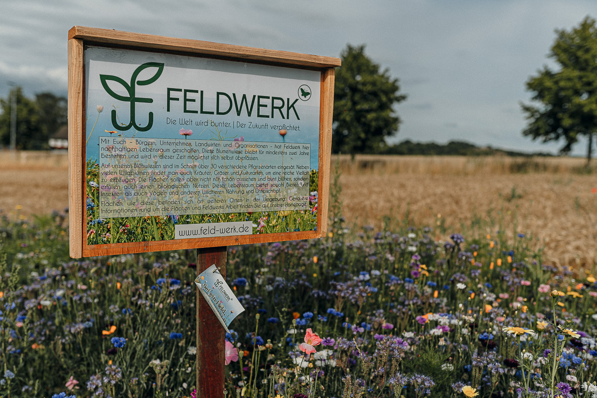 Feldwerk – Die Welt wird bunter | Der Zukunft verpflichtet. Sei ein Held, bestell ein Feld!