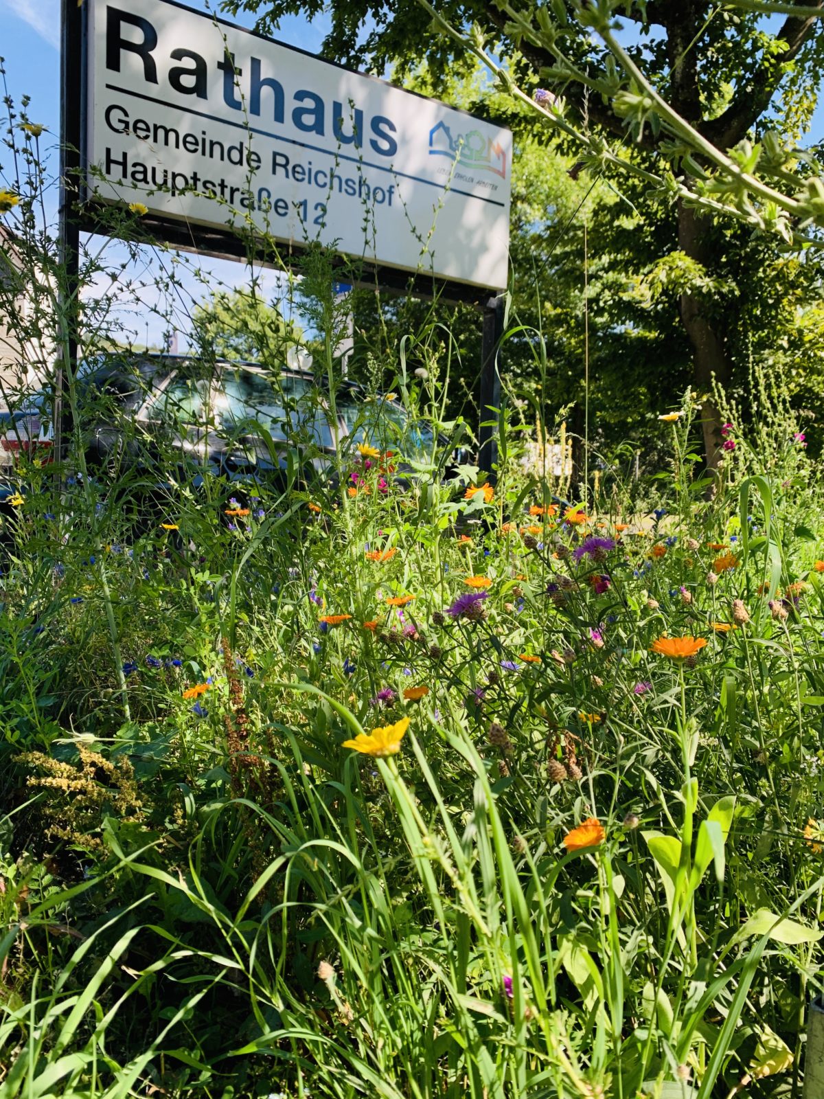 Blumenböschung am Rathaus Denklingen