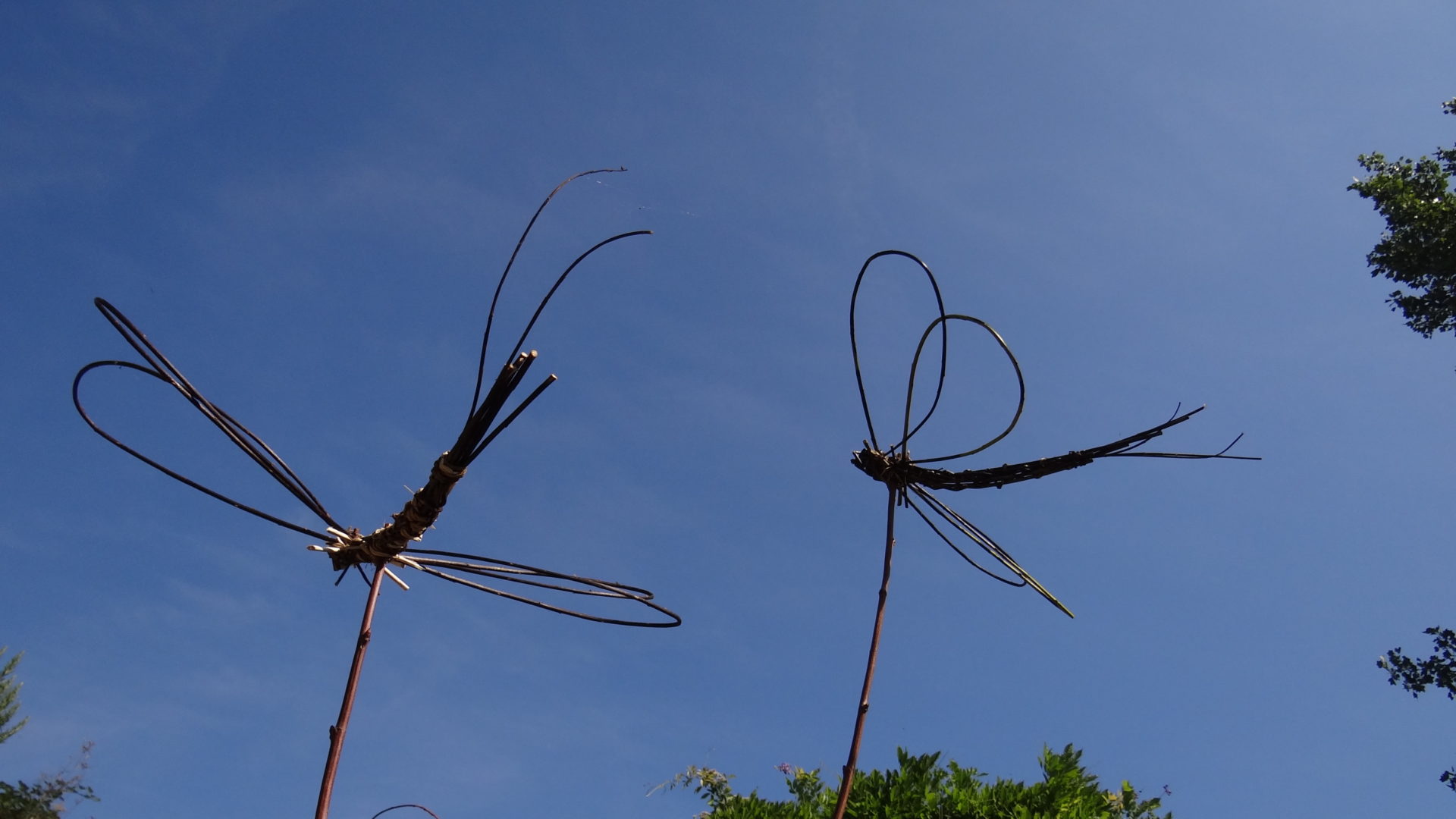 Ein Garten für Insekten