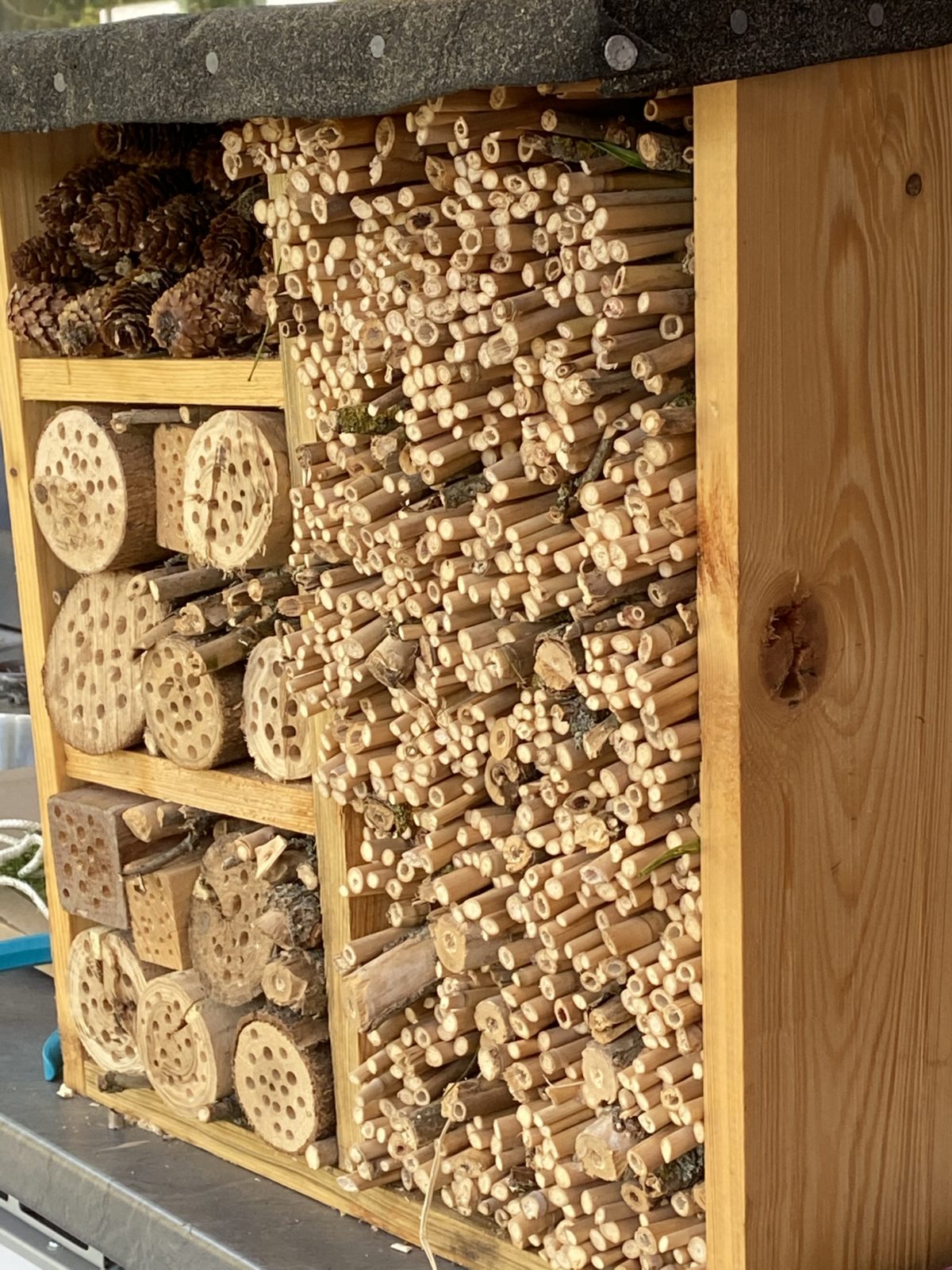 Die BEEtzens helfen den Bienen