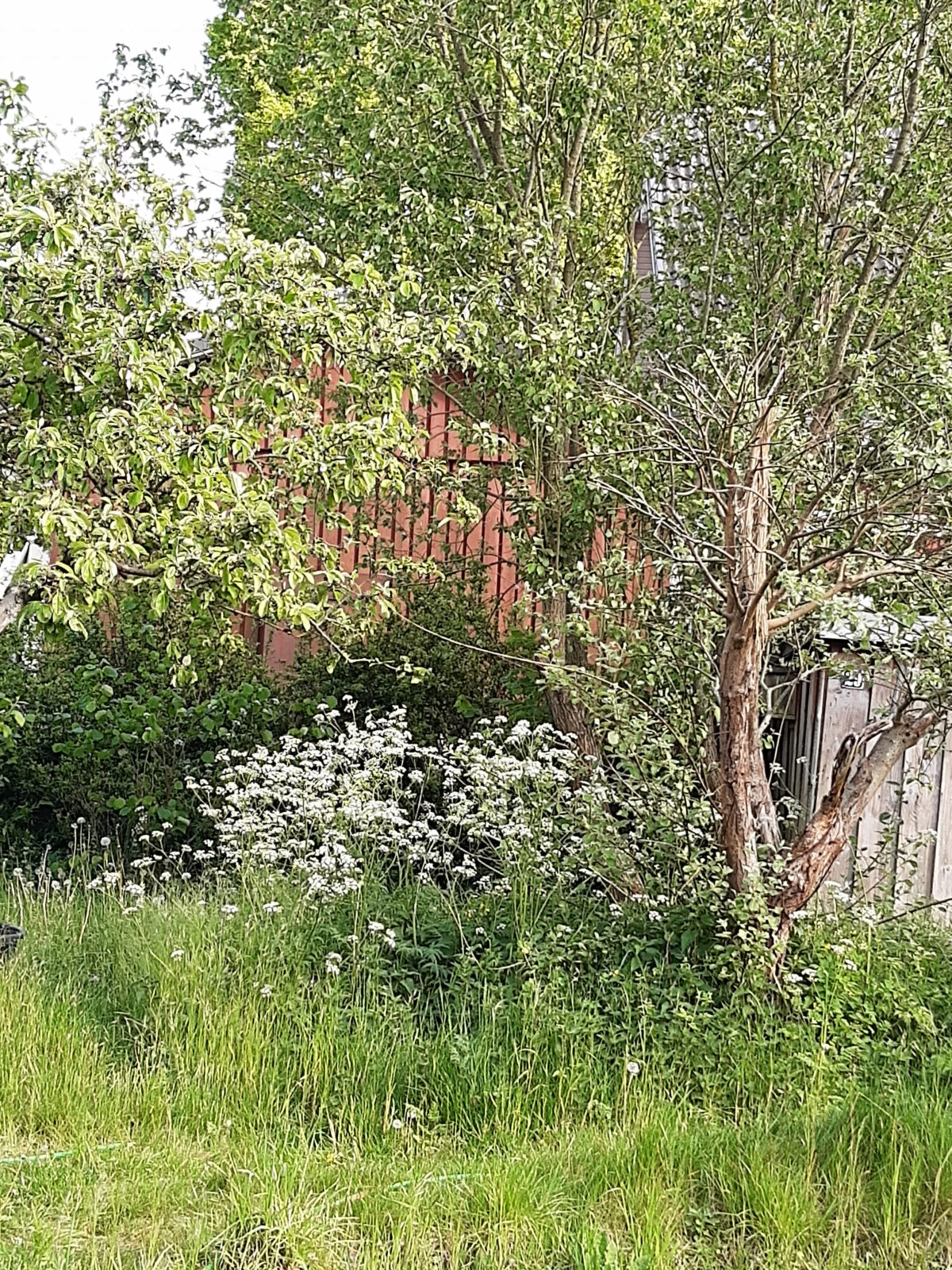 Mit Herzblut zum naturnahen Garten!