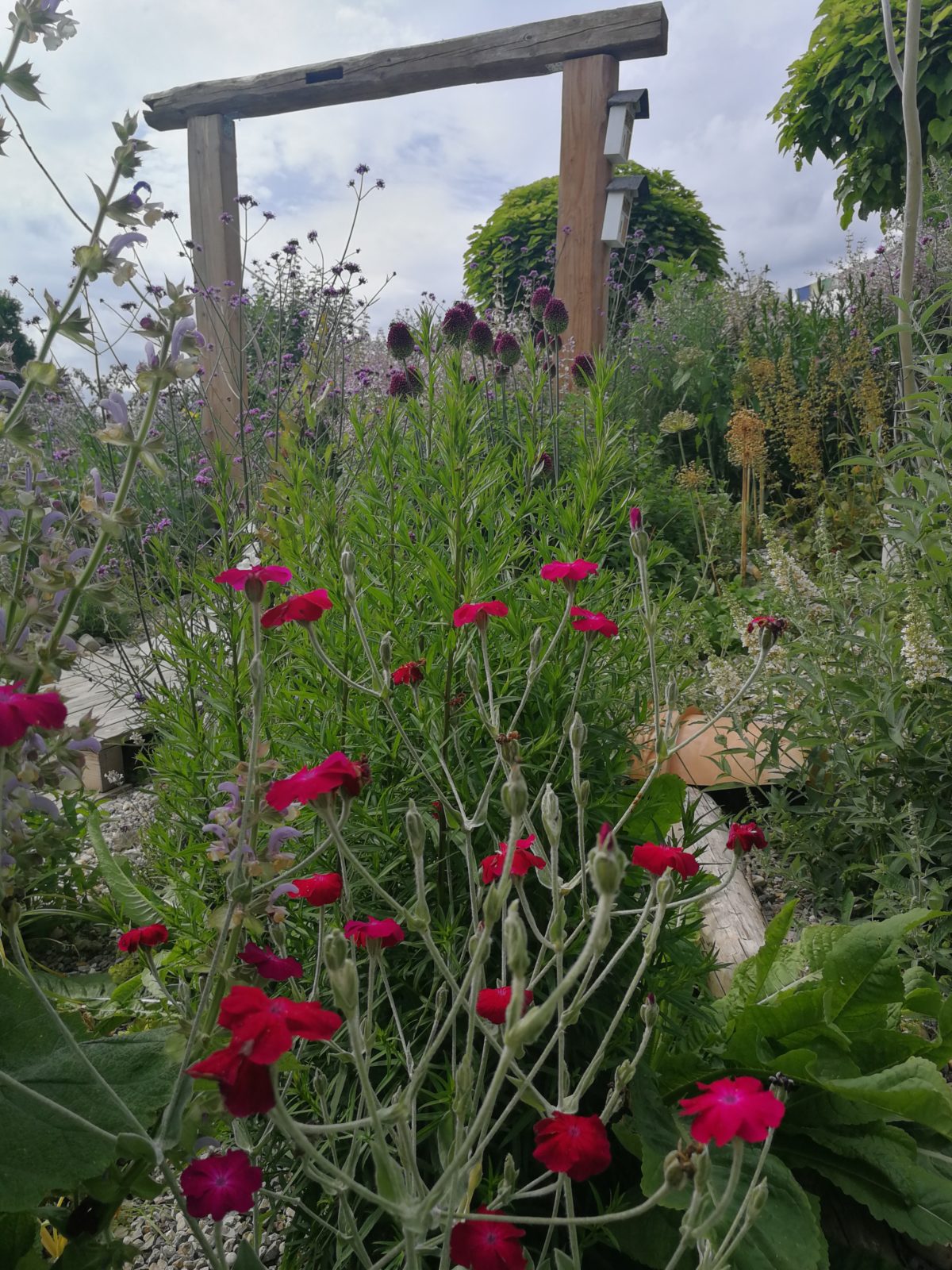 HORTUS „Wundergarten“  – Beitrag Öffentlichkeitsarbeit