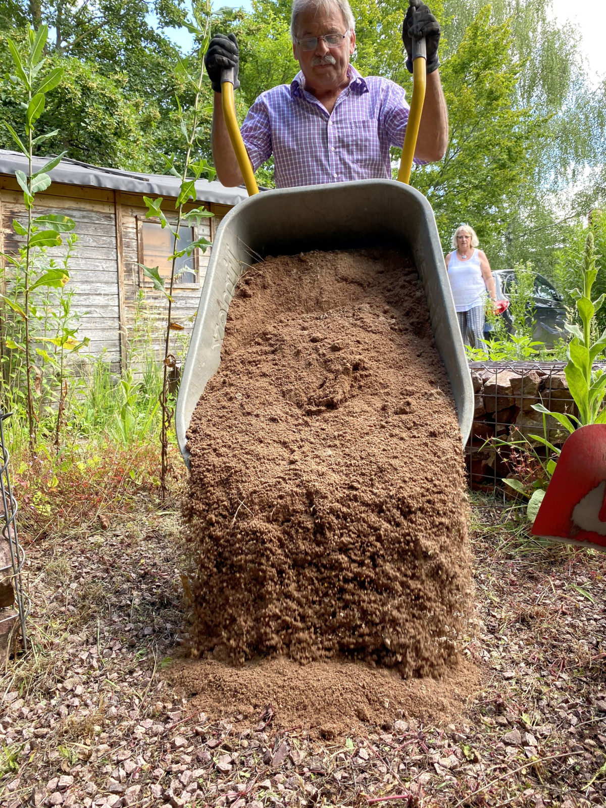 Sandlinse für Wildbienen