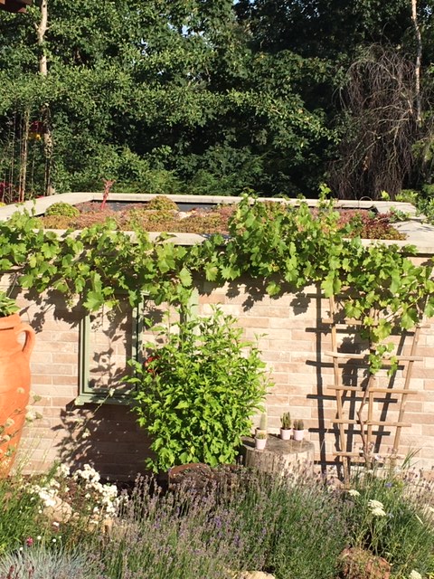 Unser grünes Dach im Garten für Insekten