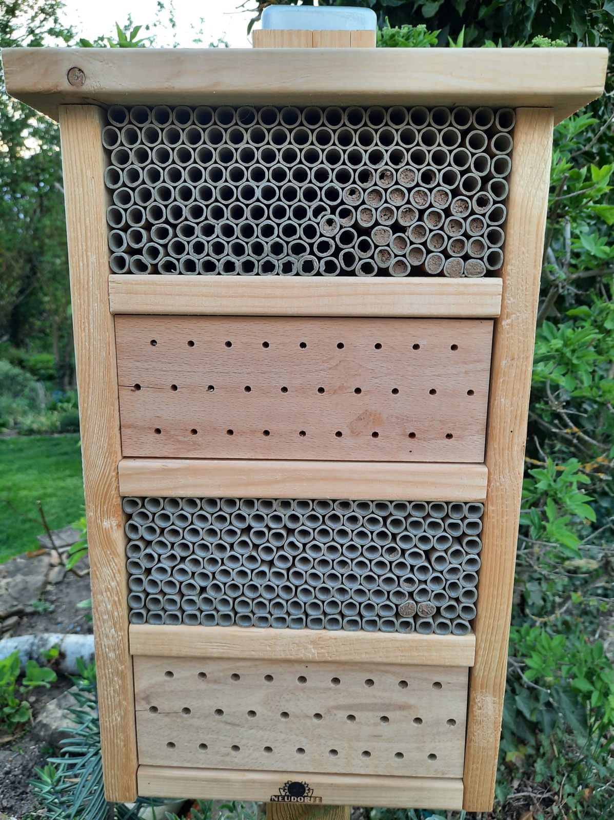 Aufstellen eines Insektenhotels