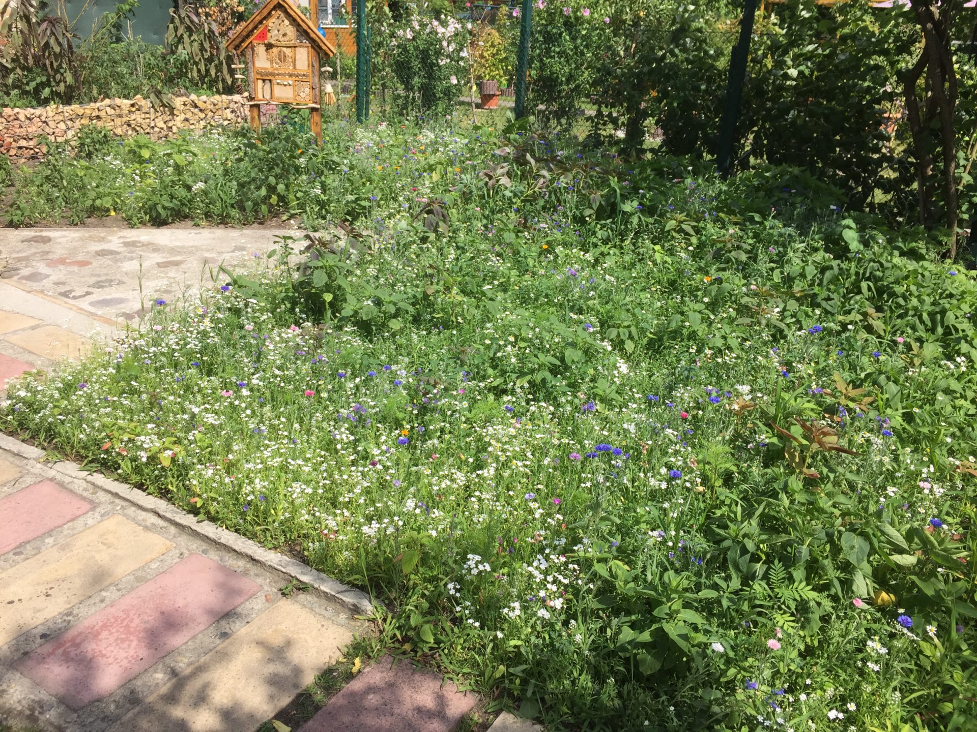 Unser Garten