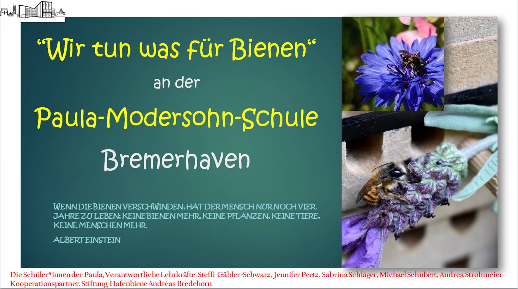 Paulas Bienen