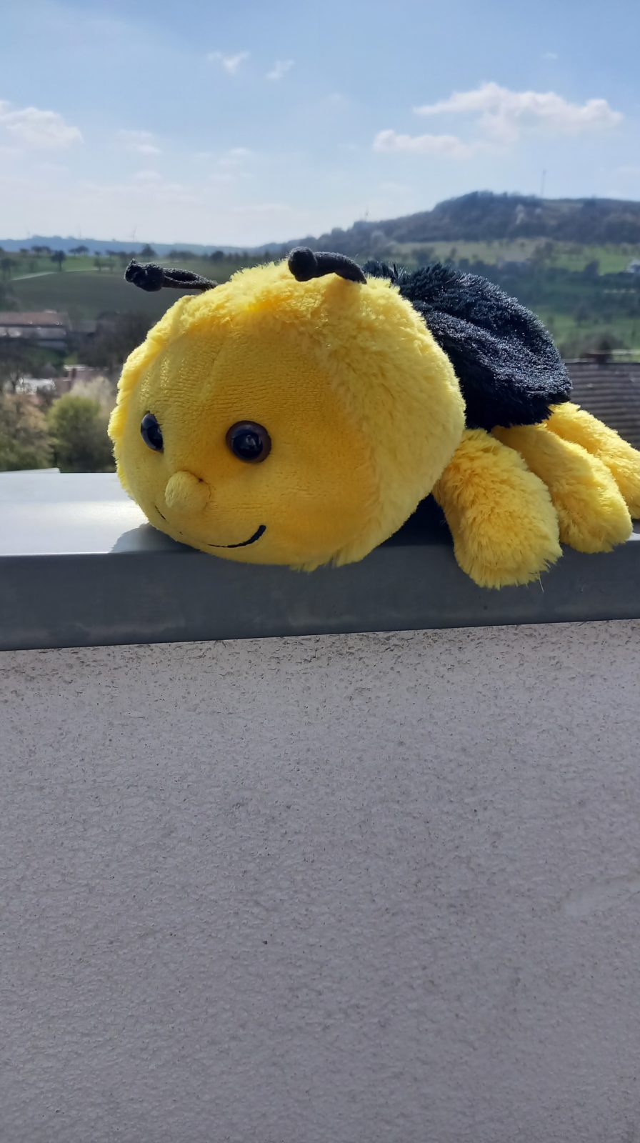 Vorher Bilder vom spielhof