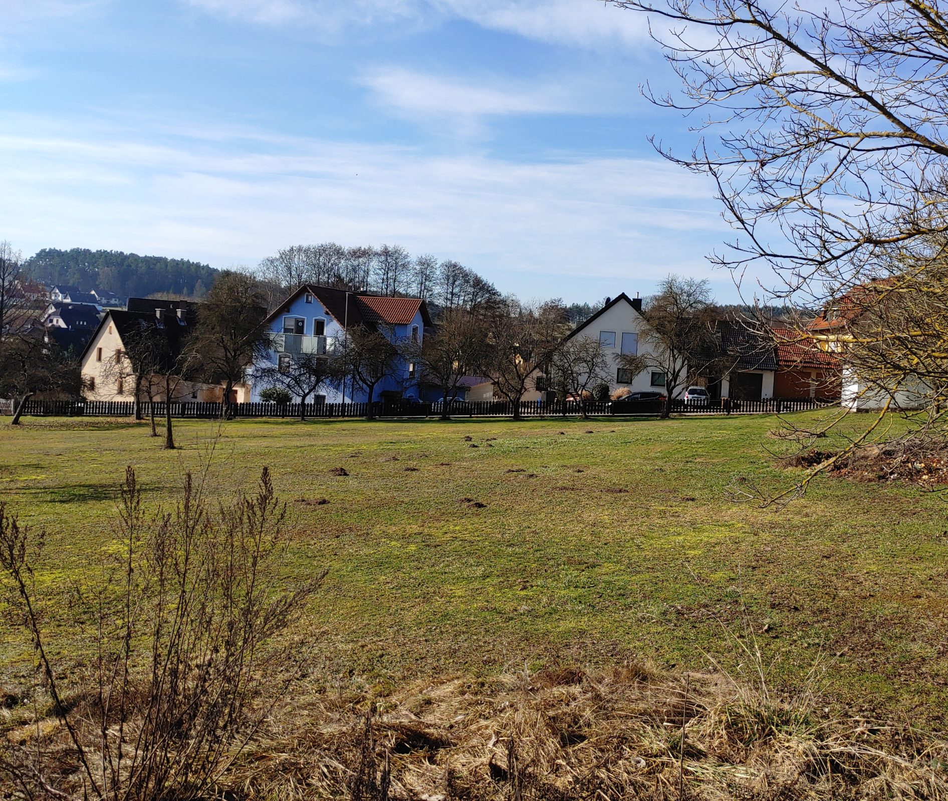 100 qm Bienenweide