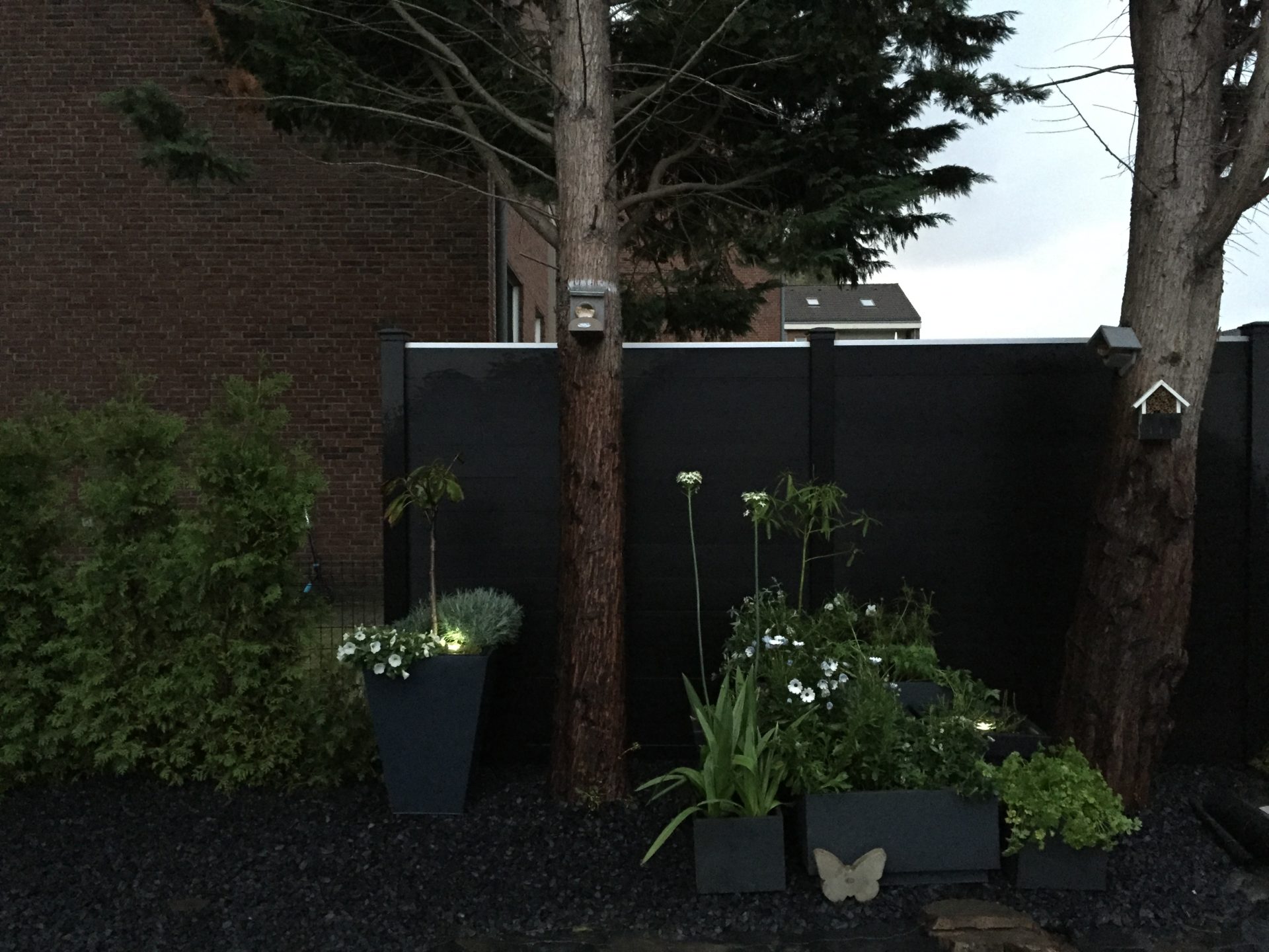 Moonlight Garten