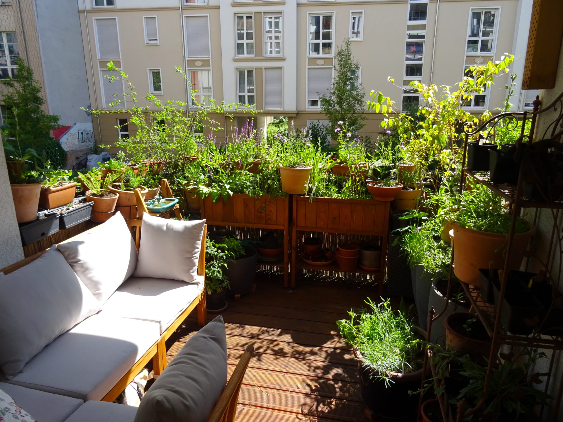 Wildbienenbalkon @wasbluehtberlin