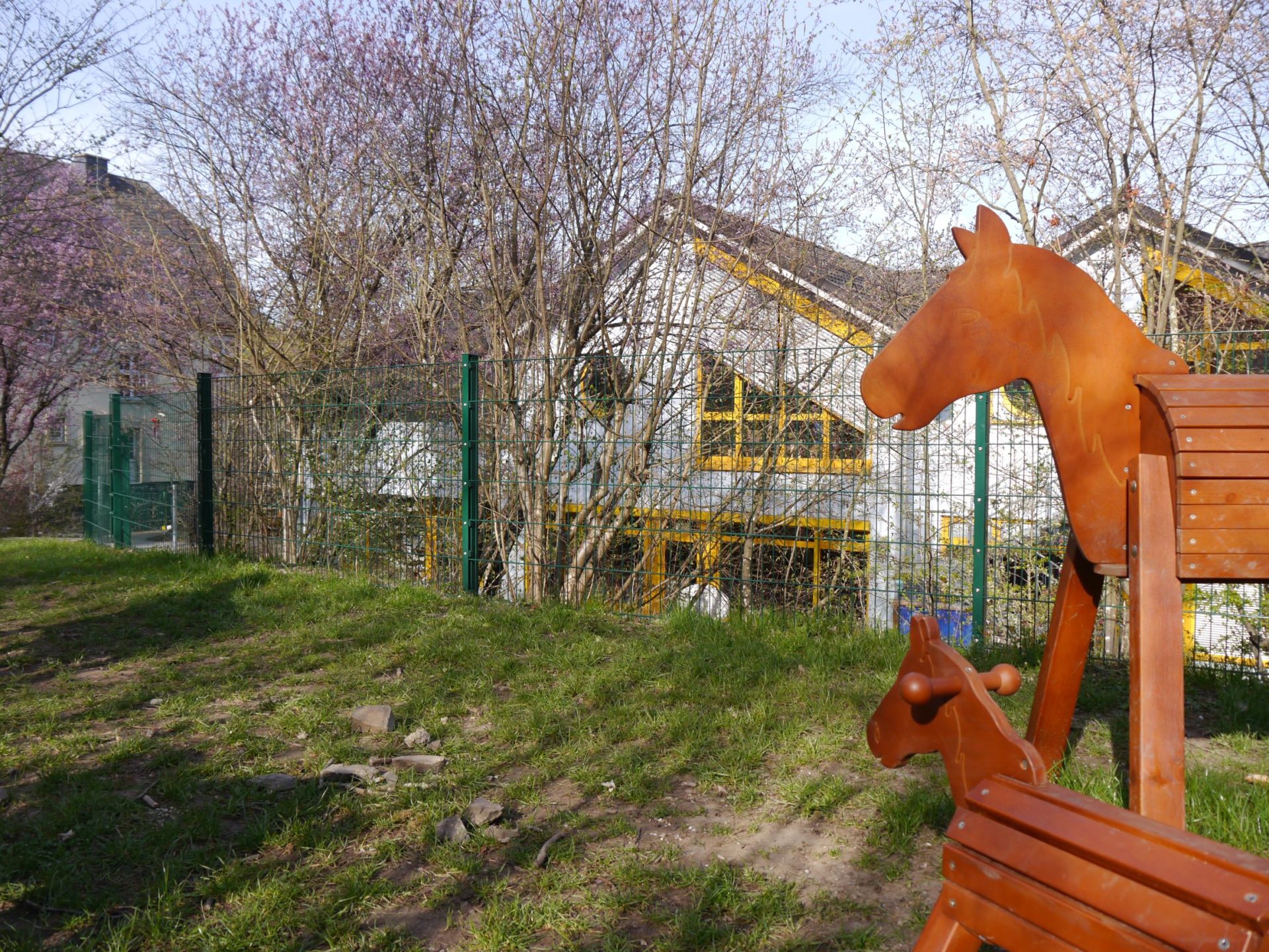 Blumenmeer – zaubernde Bienenretter