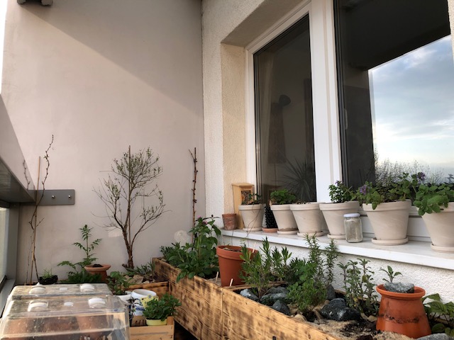 Der Versuch eines Naturbalkons