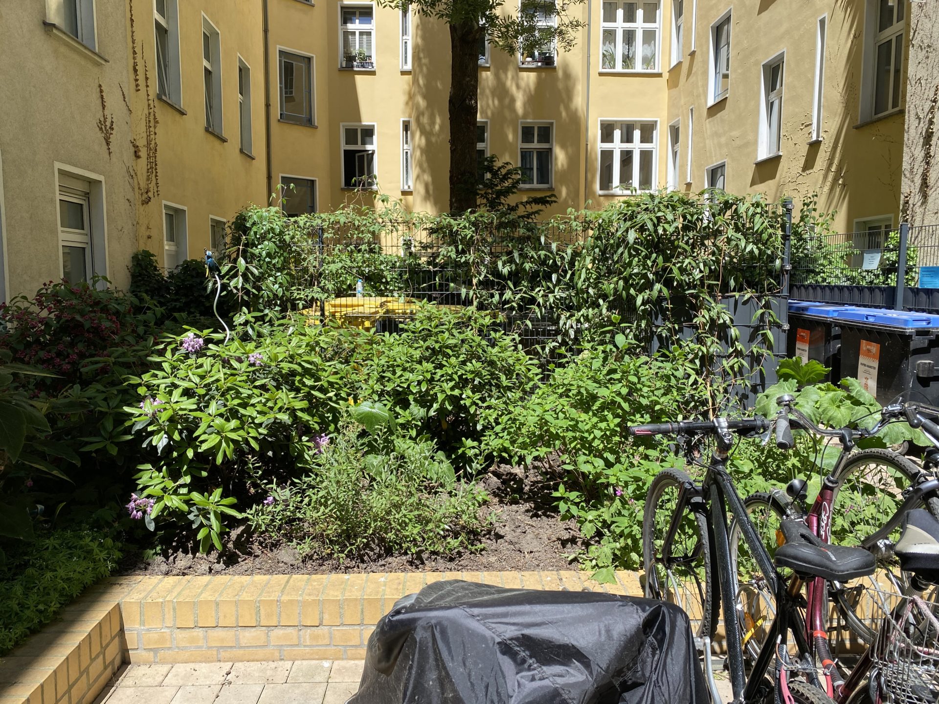Hofgarten