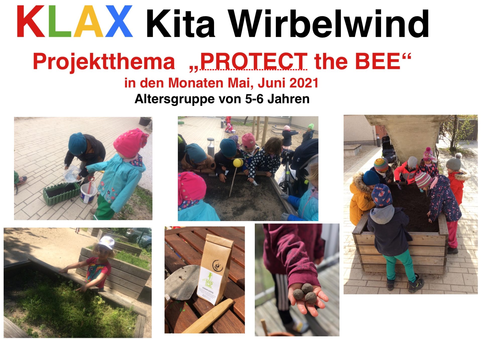 Klax Kita Wirbelwind – Projektthema „PROTECT the BEE“
