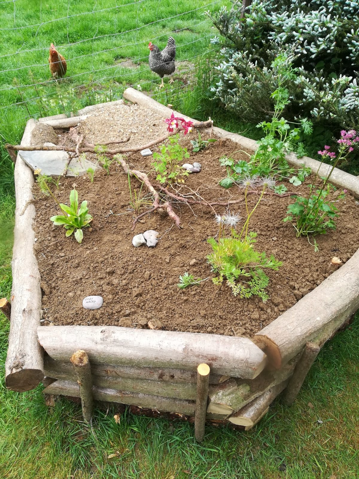 Neue Bereiche für Insekten