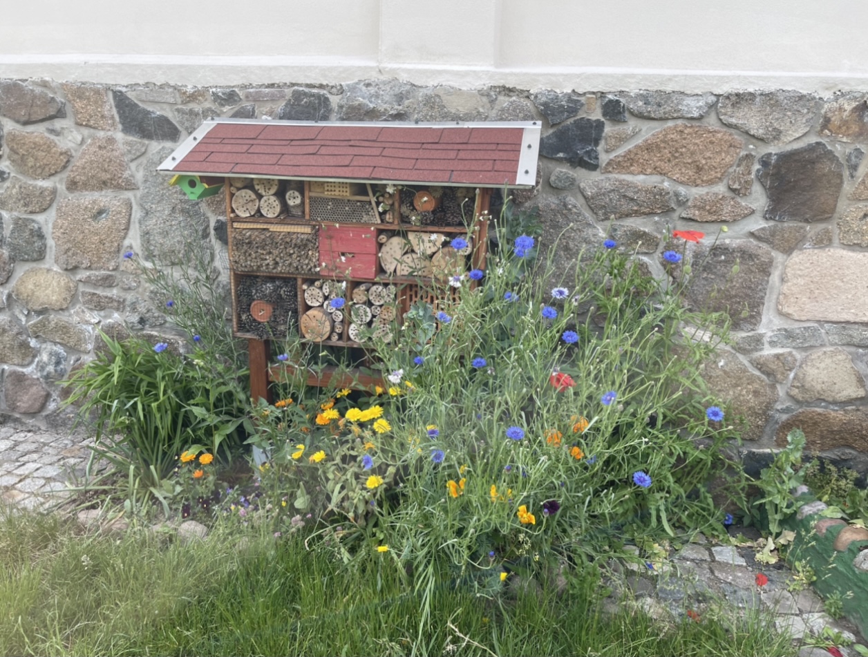 Insektenhotel und Totholz bienenfreundliche Pflanzen