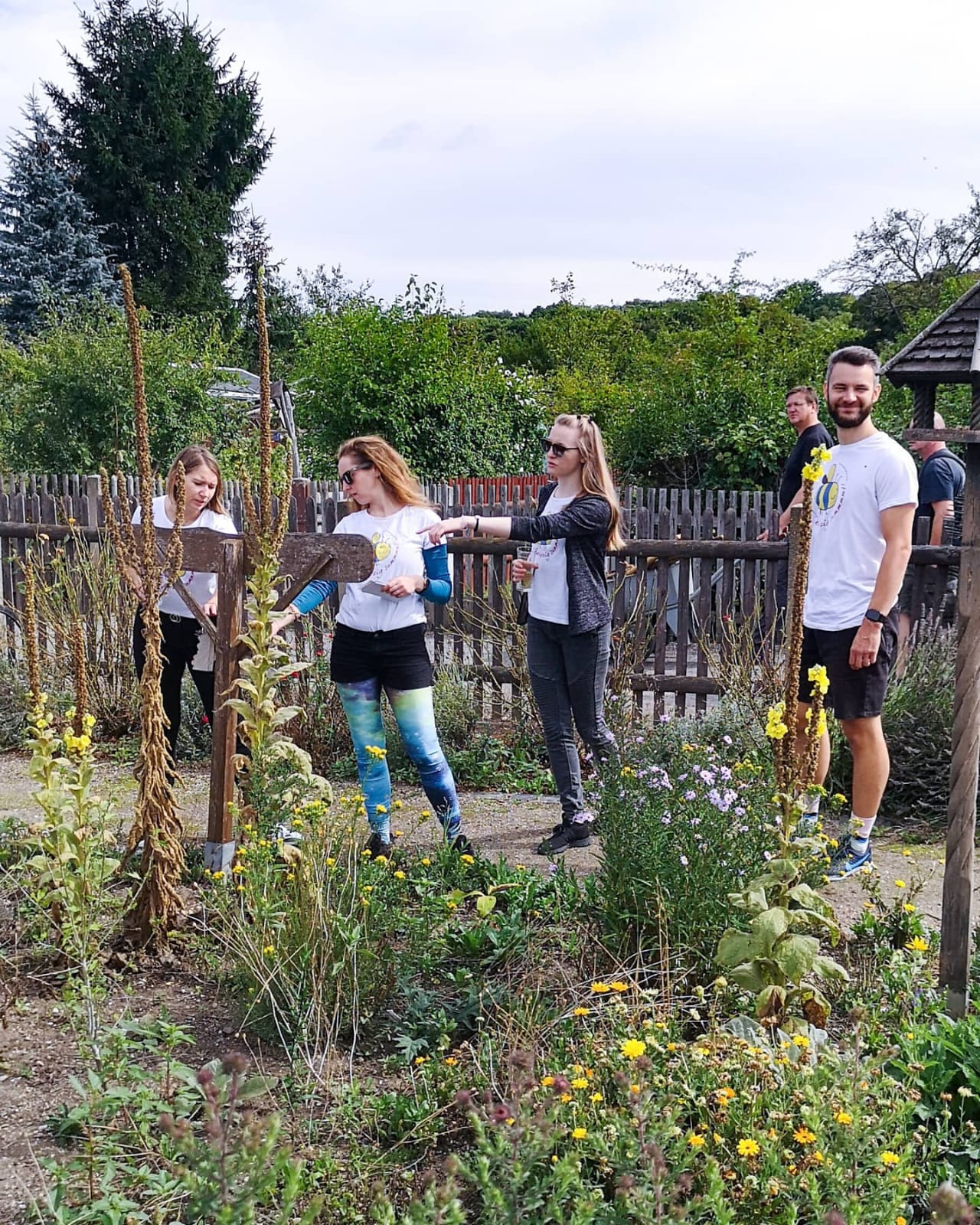 Insekten- und Begegnungsgarten von Leipzig summt! im KGV „An der Dammstraße“