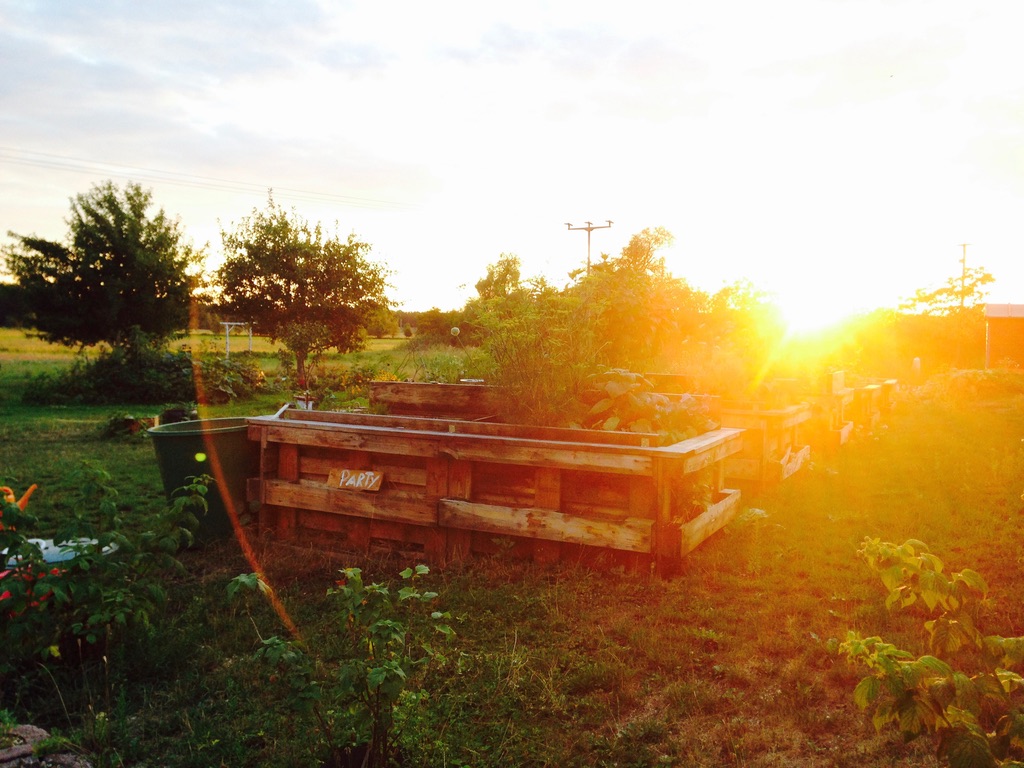 Wild & frei – unsere Gartenvielfalt