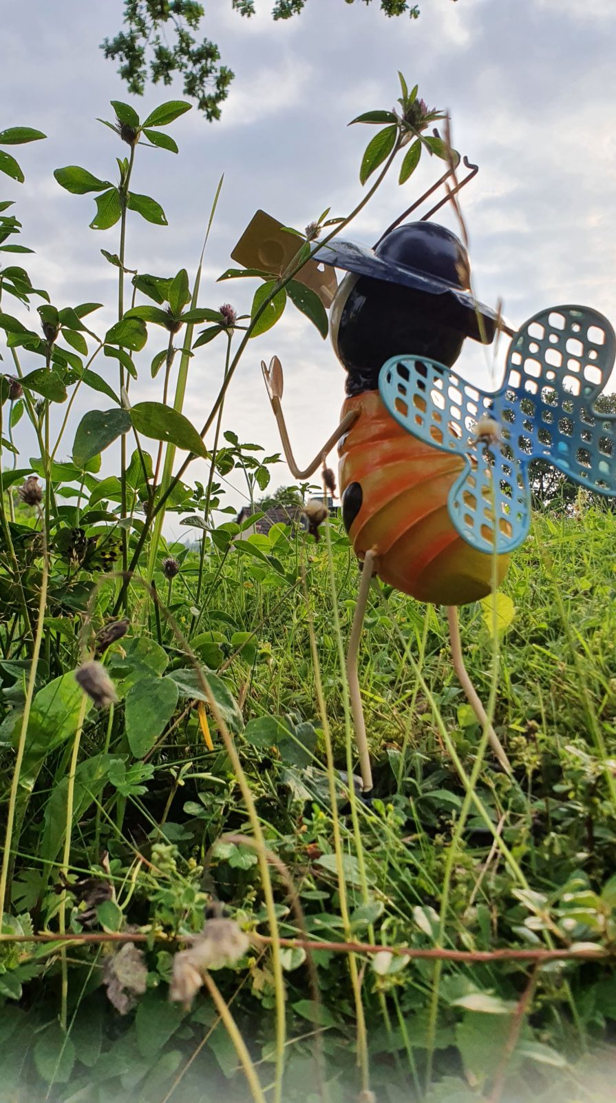 Bienengarten der Dorfgemeinschaft Berkenhofskamp