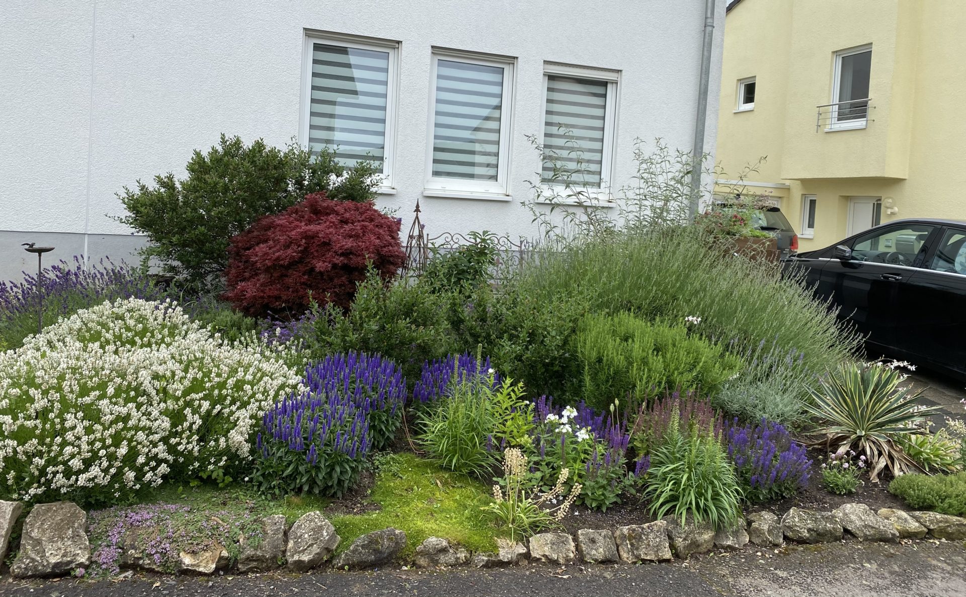 Im Vorgarten lebt‘s!