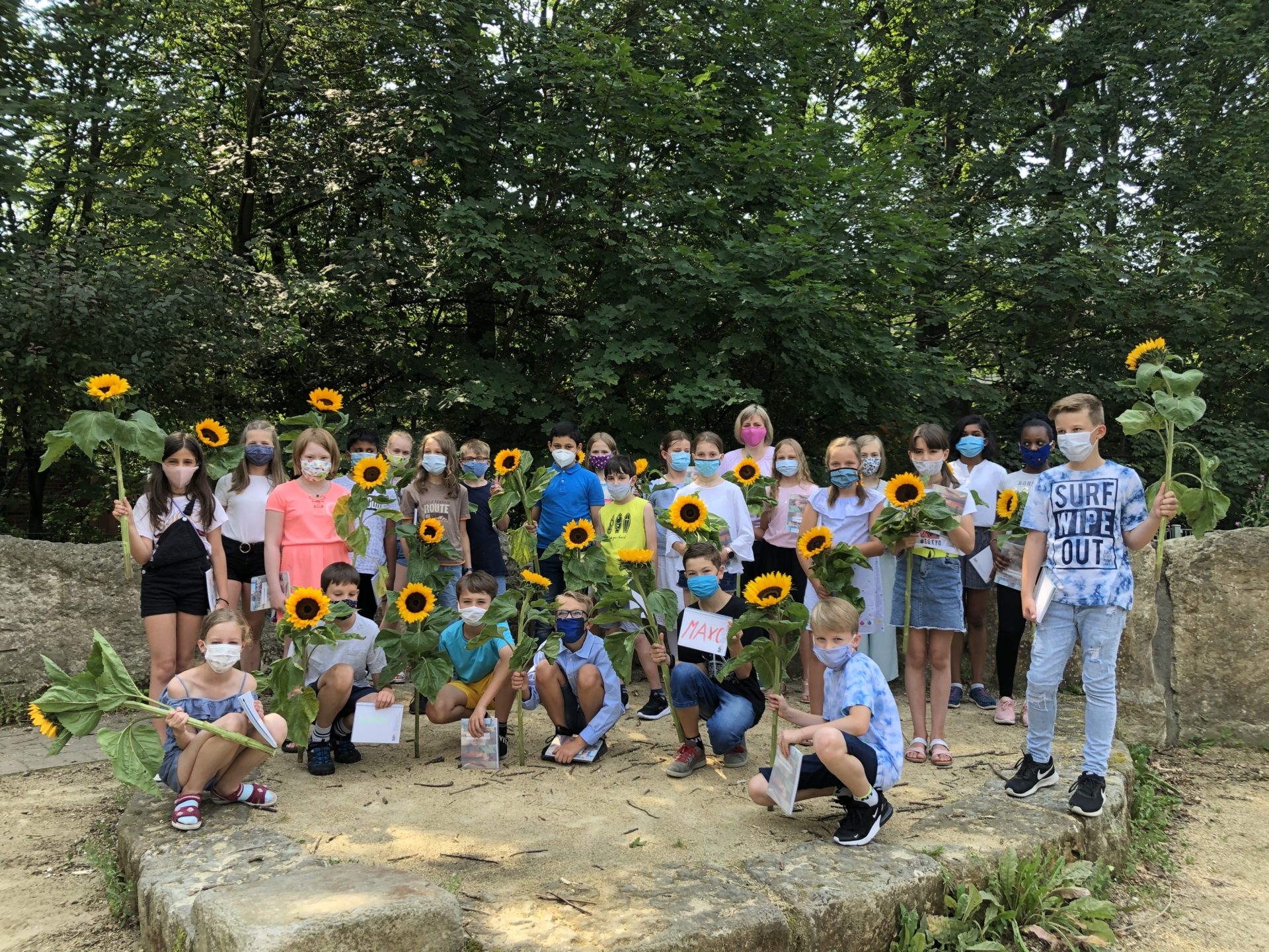 Unsere Schule wird bienenfreundlicher!