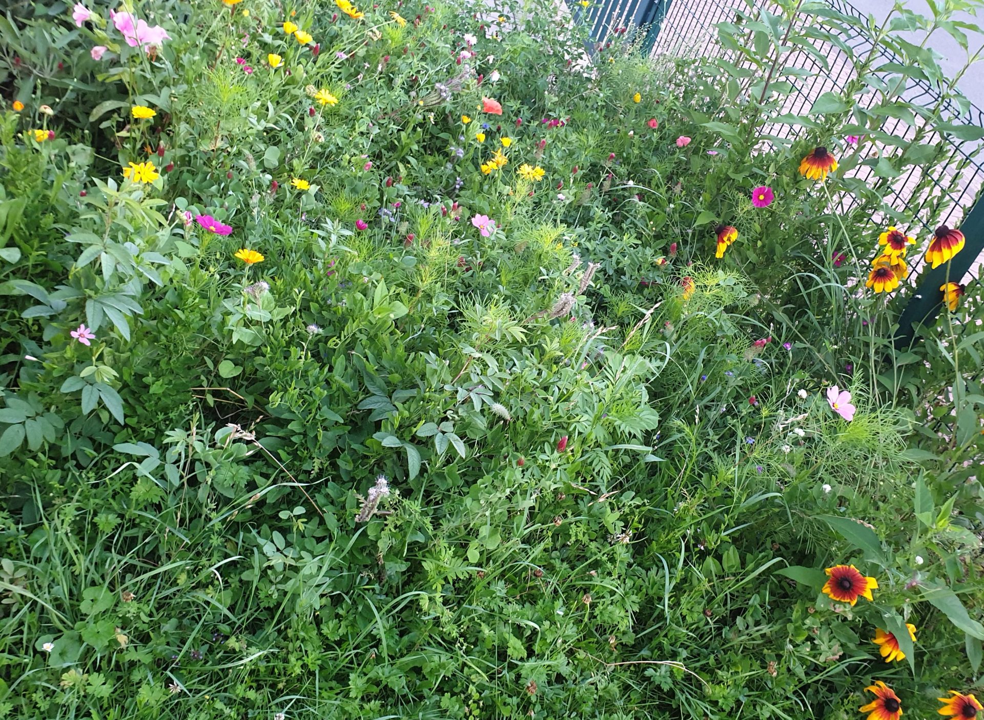 Entdeckergarten