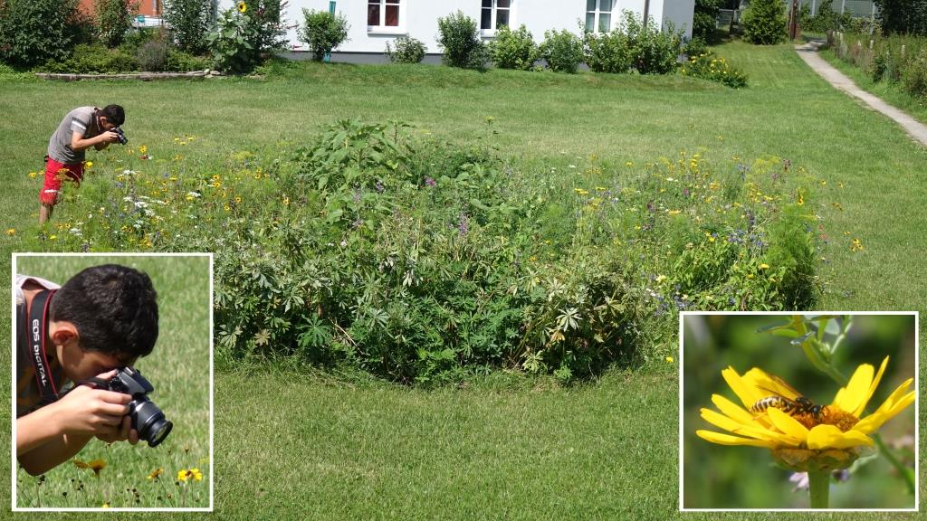 Das Blumen-Rondell beim Soccerplatz
