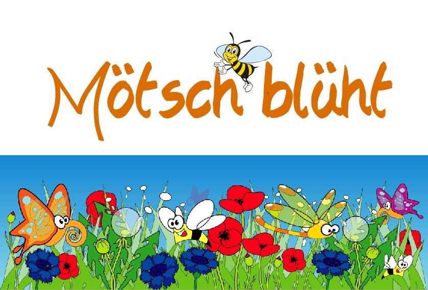 „Mötsch blüht“