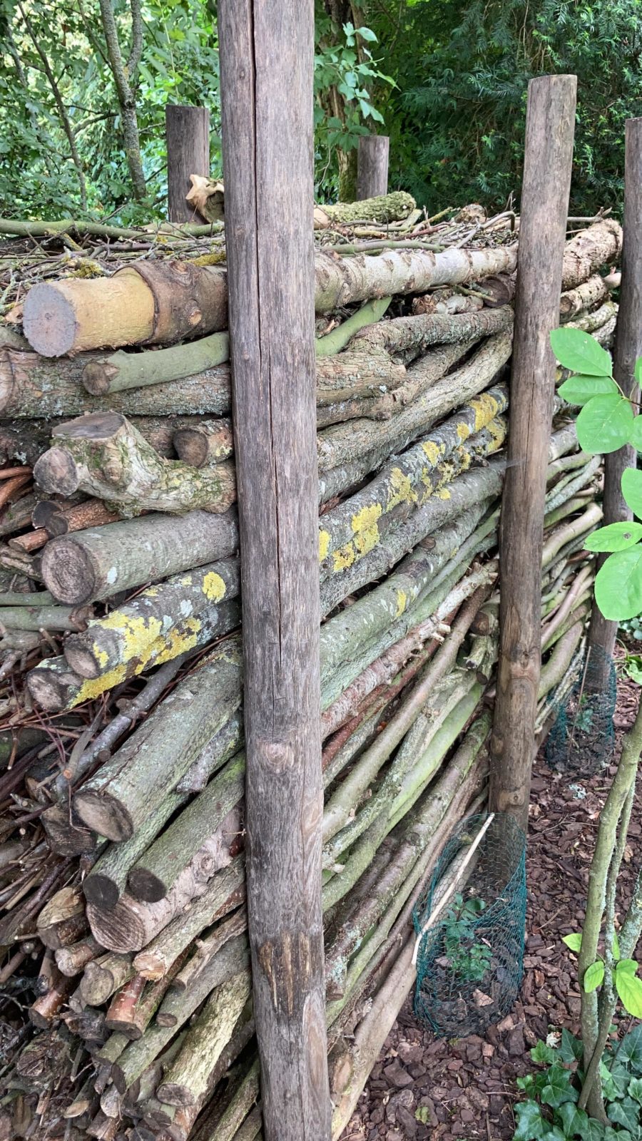 NaturgartenModul: Totholz-Hecke