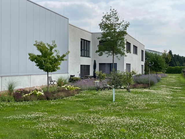 Umbau einer Rasenbrachfläche zum Staudengarten für Mitarbeiter und Insekten
