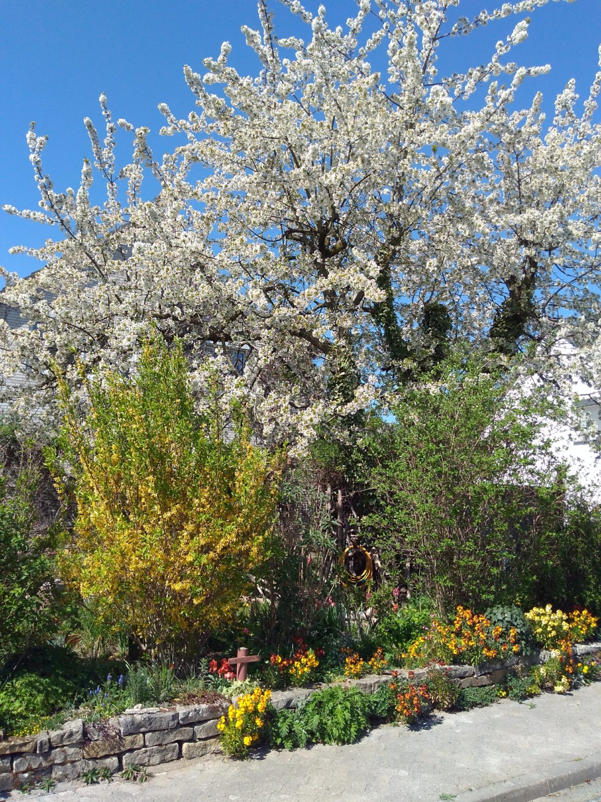 Ein Garten für alle – Mensch und Tier