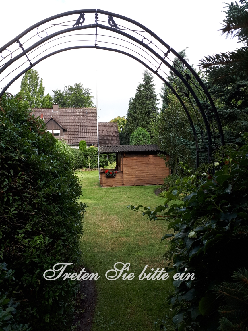 Vom Nutzgarten zum Bienen-, Insekten- und Vogelparadies
