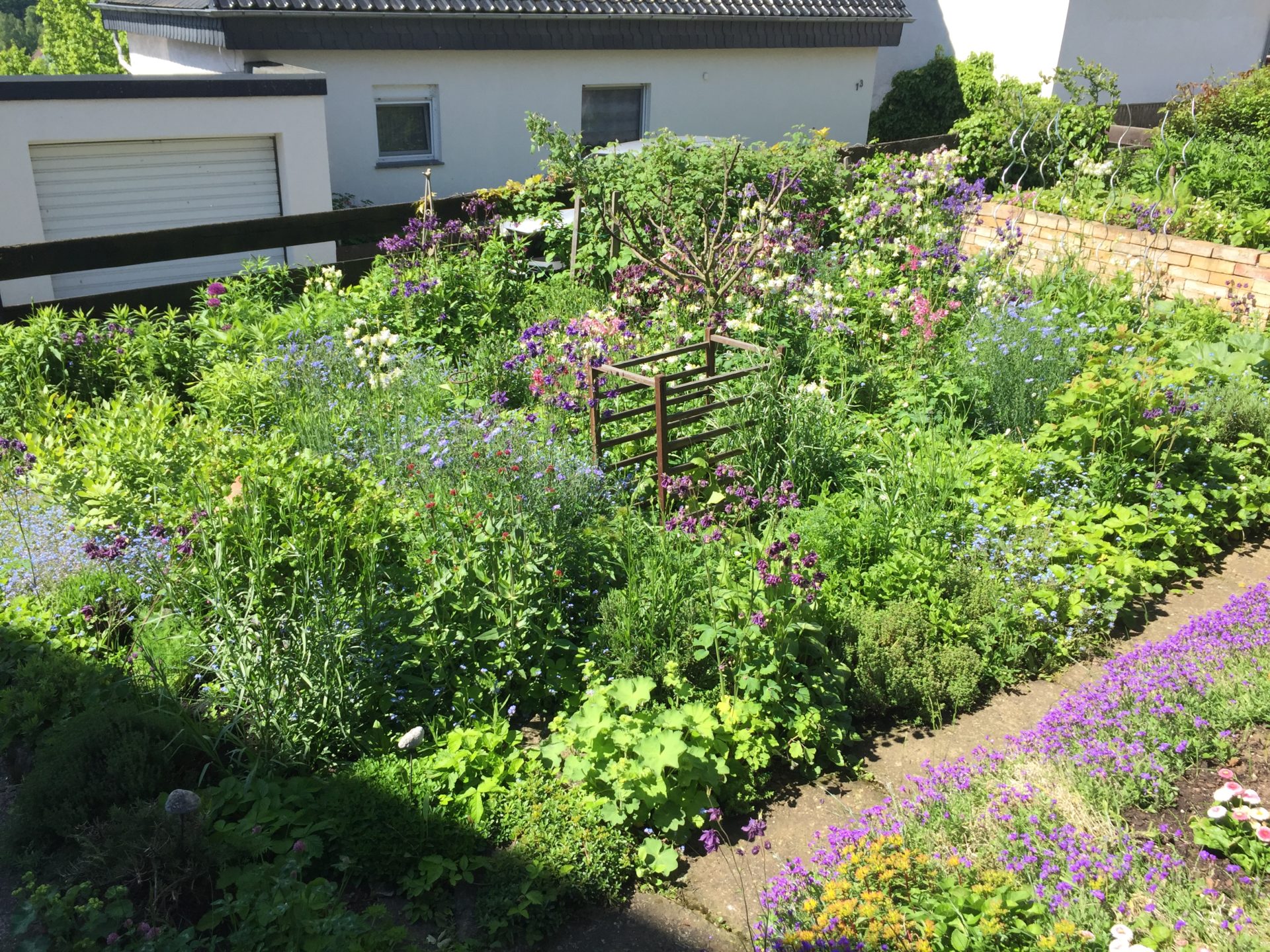 Mein Gartenparadies
