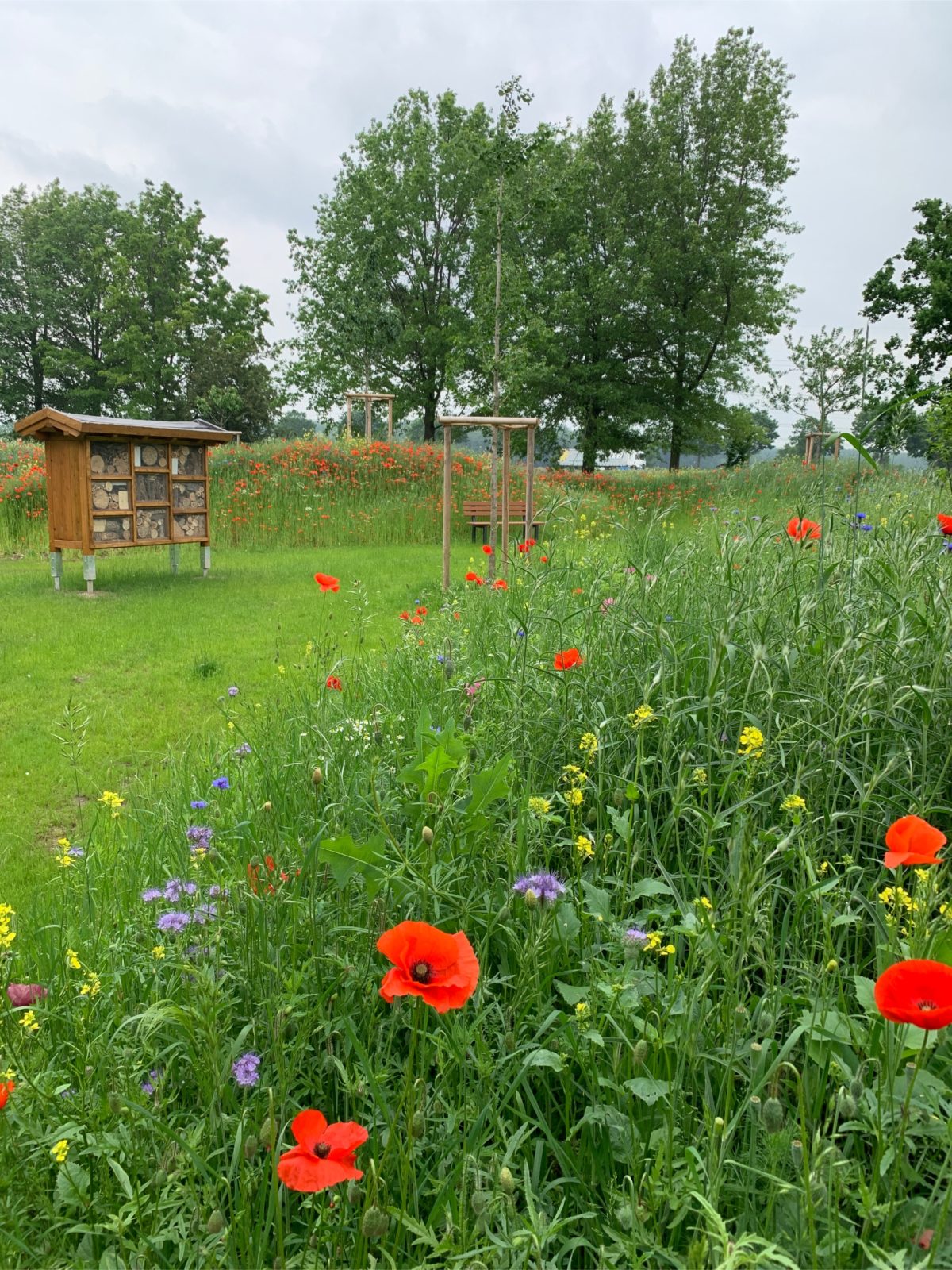 Naturnahes Bestatten