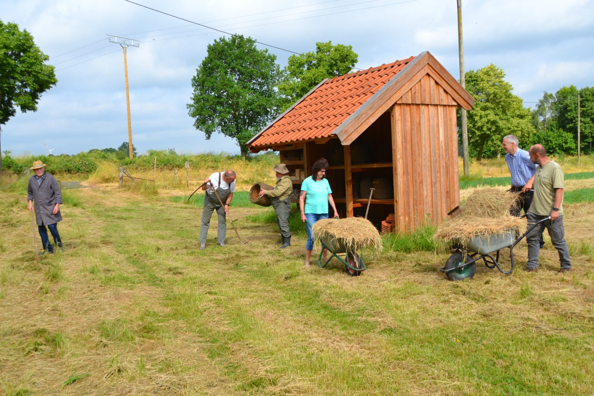 Wild- und Honigbienen im Vereinsgarten