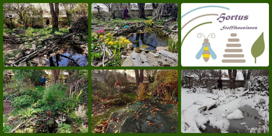 Hortus Stoffihausianos – Naturgartenführungen, – beratung,  Seminare und Vorträge in Sachen Umweltbildung – Aufbau Naturgartencoaching und Gartentherapie