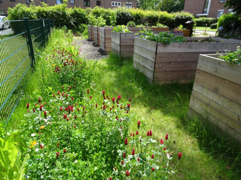 Die Insektenweide entwickelt sich langsam