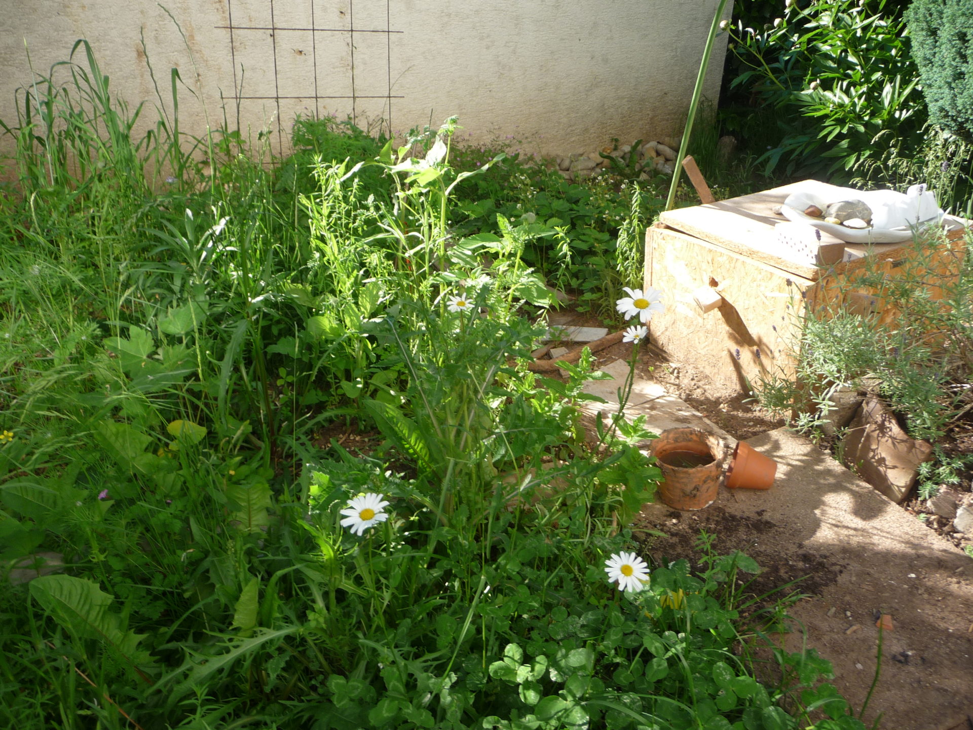 Willkommen liebe Bienen