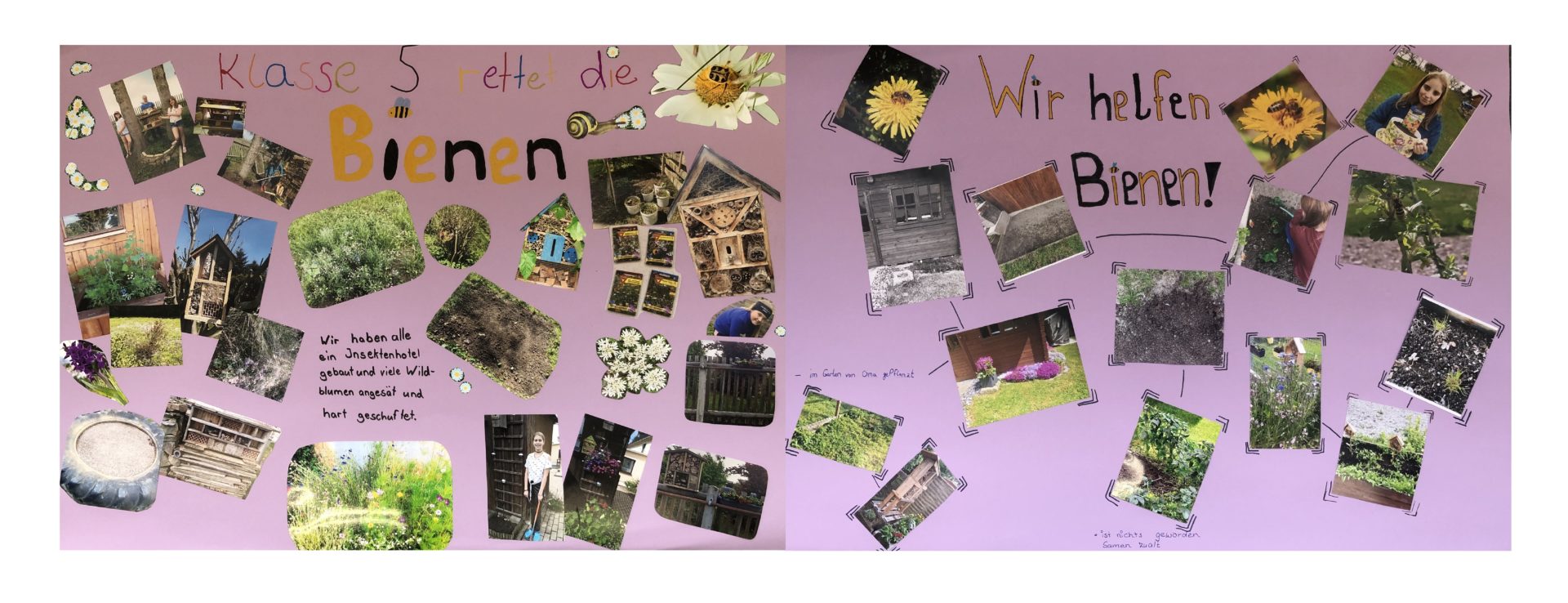Oberschule Pausa – Jeder fasst mit an