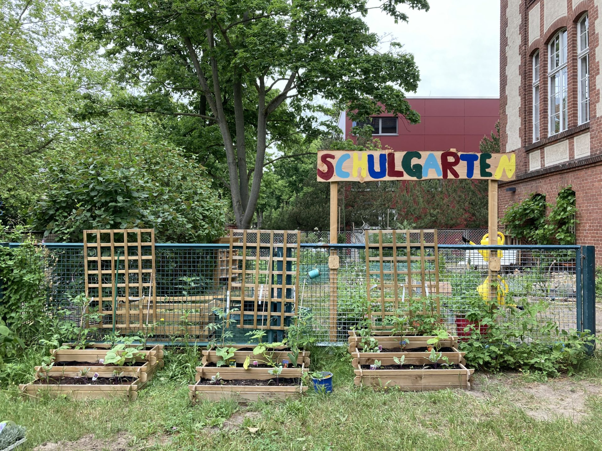 Kleiner Schul- und Bienengarten der Süd-Grundschule