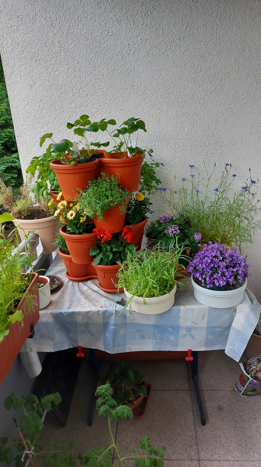 Grüner Balkon