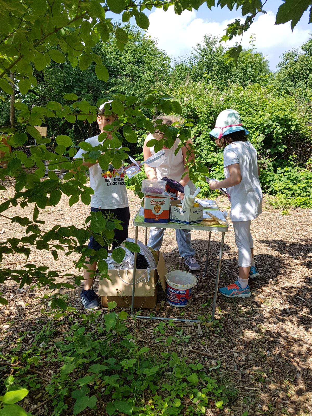 Kleine Bienenschule